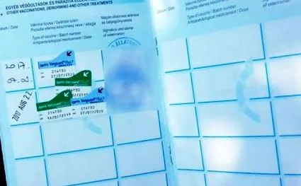 думок тему
