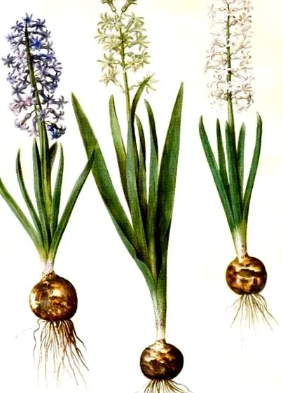 kezdeni kell