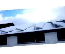 fólia fólia