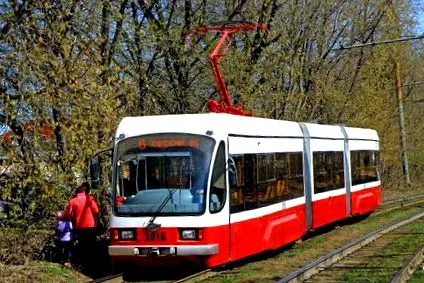 fórum