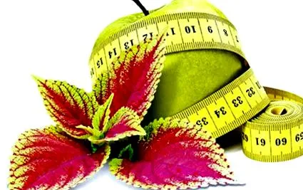 forskolin