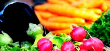 официјално почвата