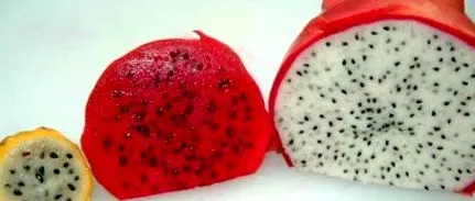 antioxidáns