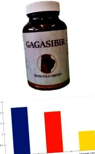 gagasibir