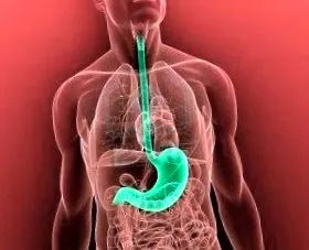 gastroparéza