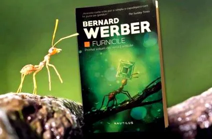 bernard