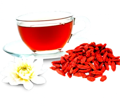 нервниот систем