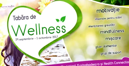 gyere wellness