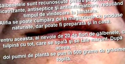 papillómák
