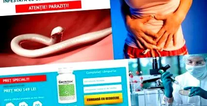 lvice lvice
