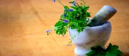 homeopátia térdfájdalom esetén