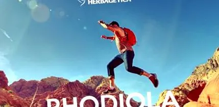 rhodiola