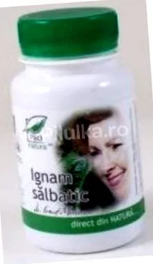 игнам