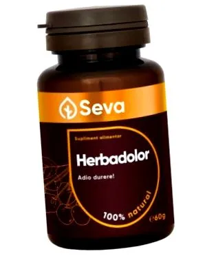 seva
