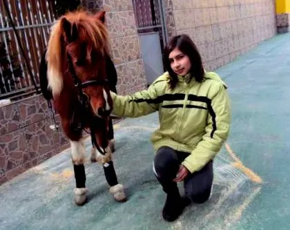 управува