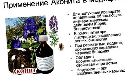 цікава