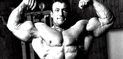 címet nyert