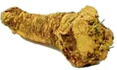 egészséges