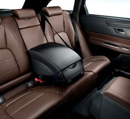 единствената jaguar