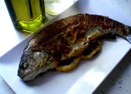 szakács