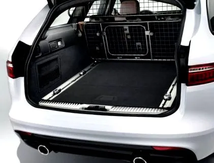 jaguar единствената