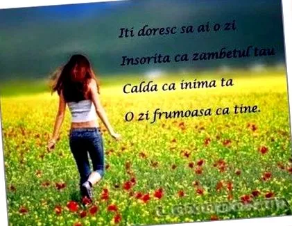 2013 силуета