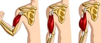 kineticplus