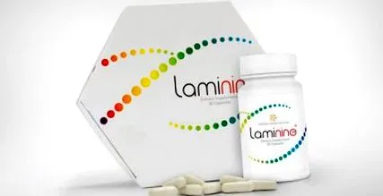 laminin