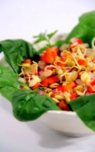 lentil blogul