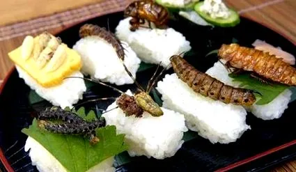 infecția alimente