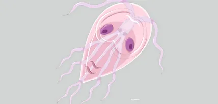 giardia паразитите
