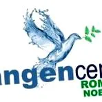 Kangen vizet