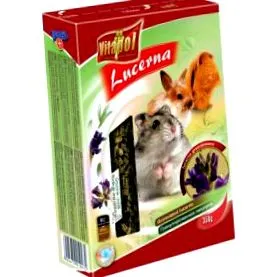 зајаци суштински