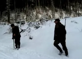 волци
