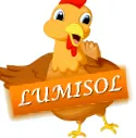 лумисол