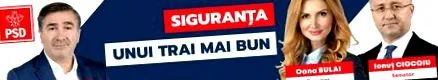 цимпоесу вирусите