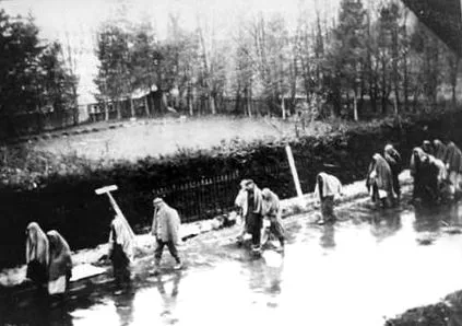 auschwitz