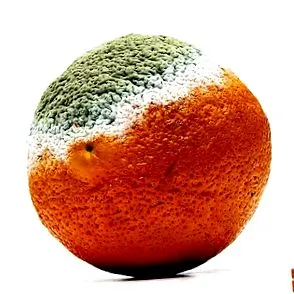 gyümölcslé gyümölcslé