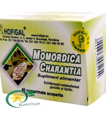 hofigal plantilia