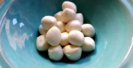 mozzarella