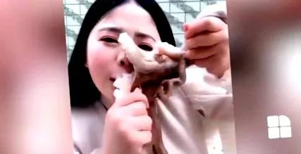 sokkoló