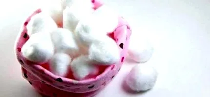 szakértői