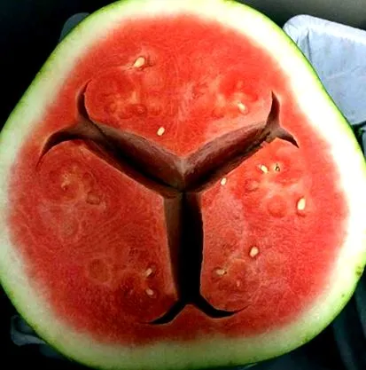görögdinnye