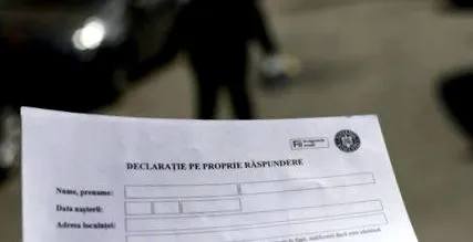 szakmai tevékenység