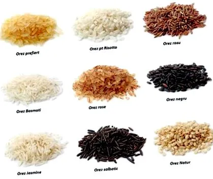 nutrifactory