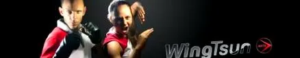 Wing Tsun