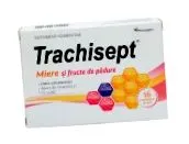 osteozone