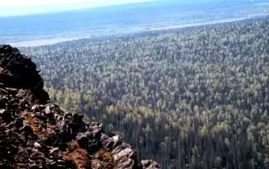 erdők