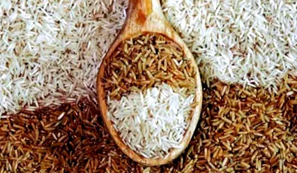 rice