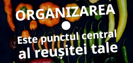 iskolai középpontjában